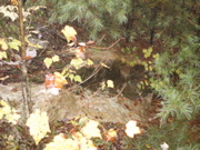 PICT0086