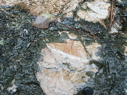 PICT0087