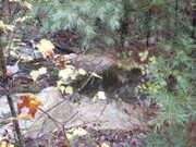 PICT0088