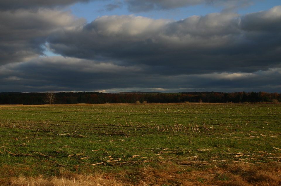 IMG_7908.JPG