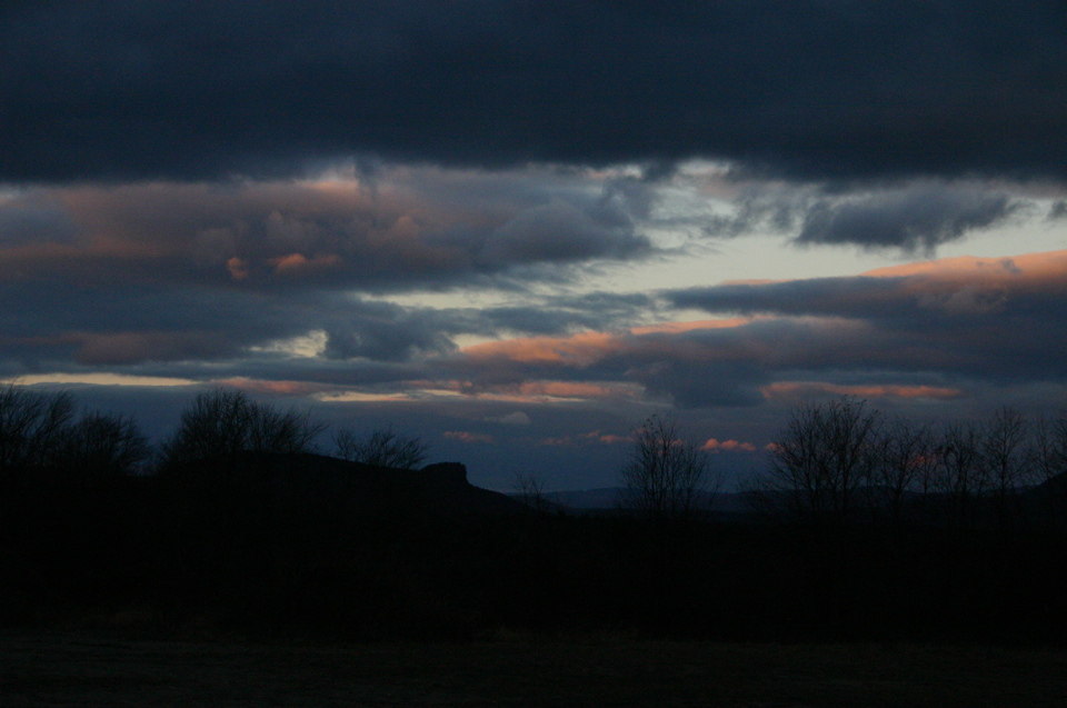 IMG_7921.JPG