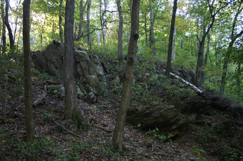 IMG_7150.JPG