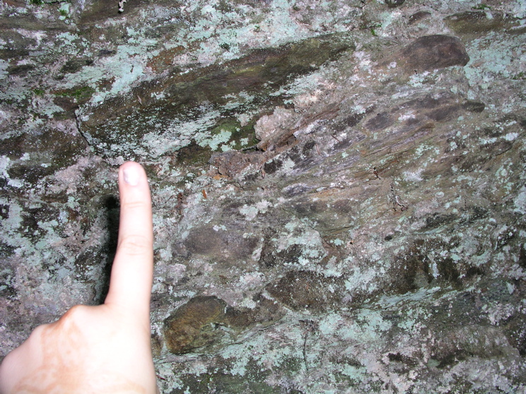 P1010002.JPG