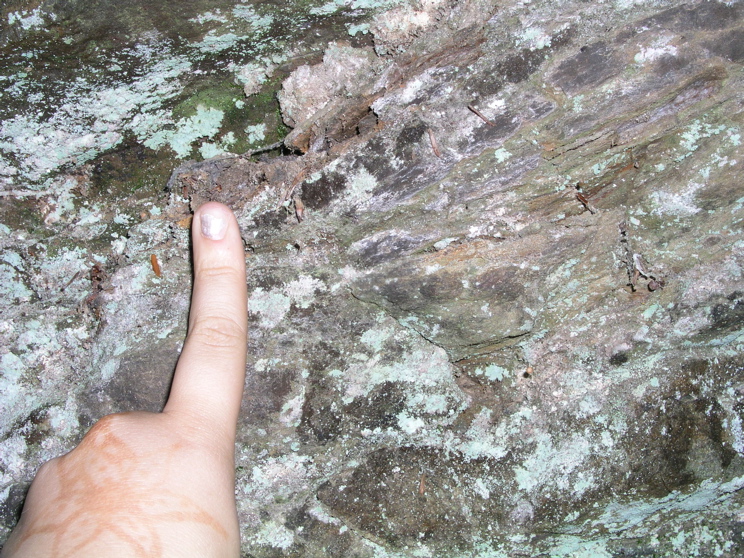 P1010003.JPG