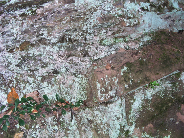 P1010004.JPG