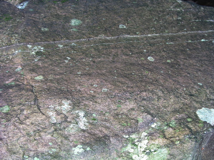 P1010006.JPG