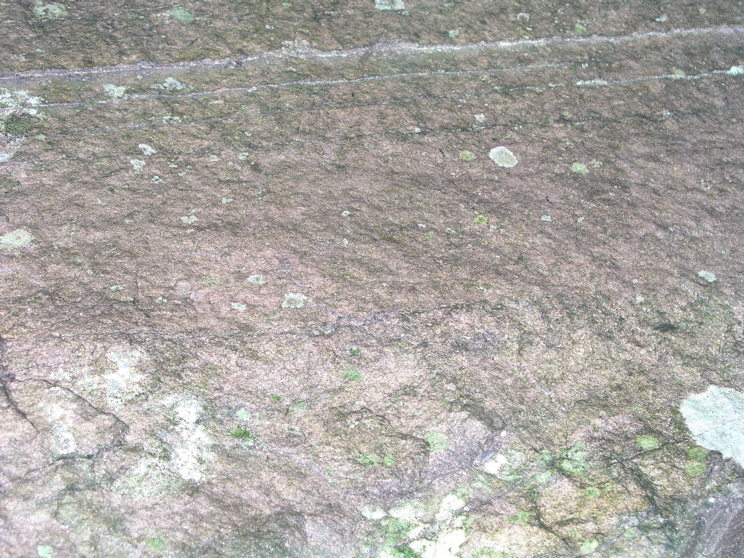 P1010007.JPG