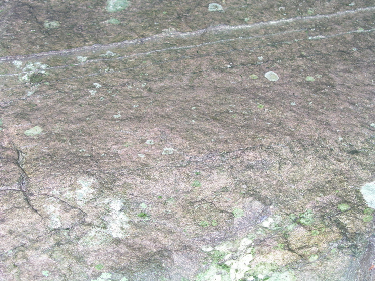 P1010008.JPG