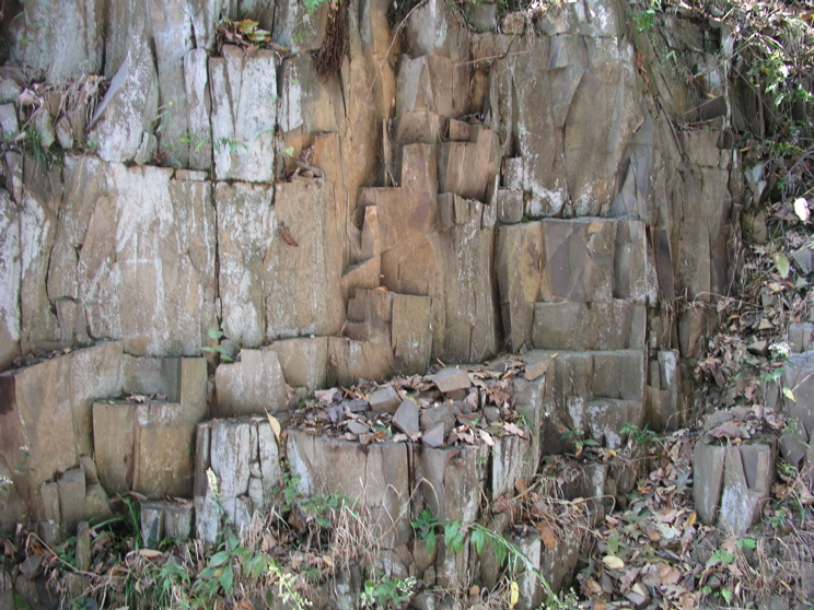P1010009.JPG
