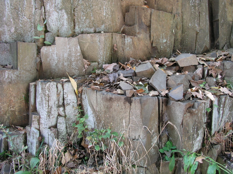 P1010010.JPG