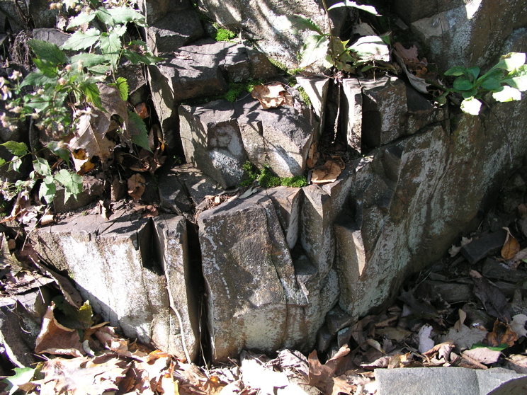 P1010012.JPG
