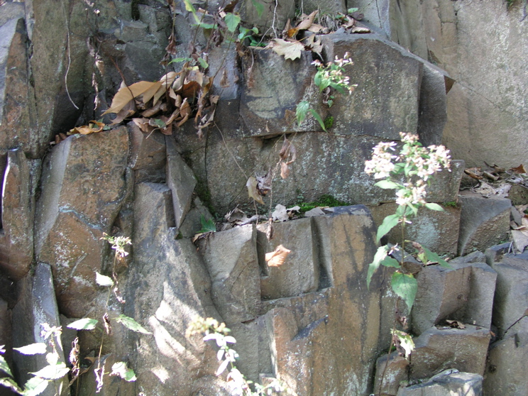 P1010013.JPG