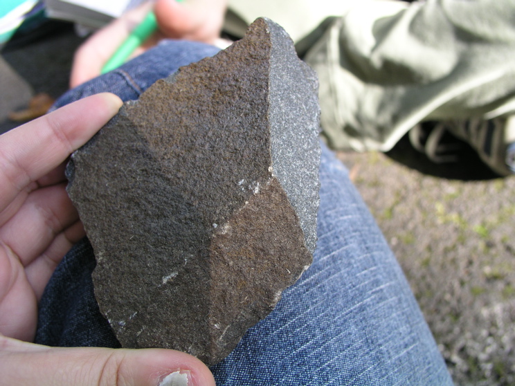 P1010014.JPG