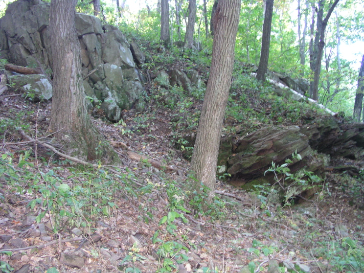 P1010017.JPG