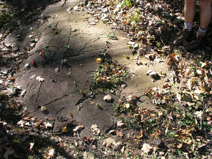 P1010020.JPG