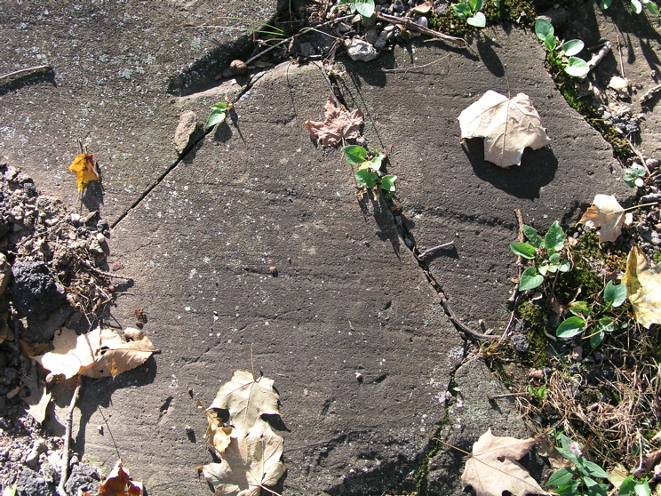 P1010021.JPG