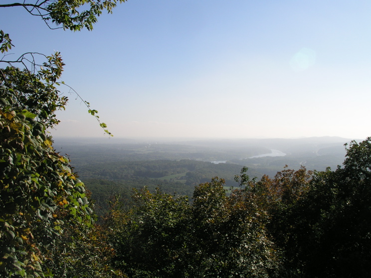 P1010025.JPG