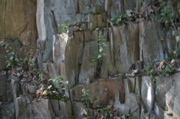 IMG_7144.JPG