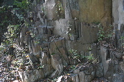 IMG_7145.JPG