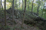 IMG_7150.JPG