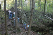 IMG_7153.JPG