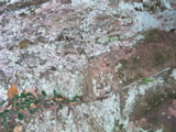 P1010004.JPG