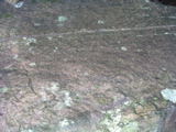 P1010006.JPG