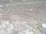 P1010007.JPG