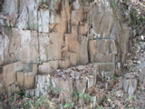 P1010009.JPG