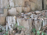 P1010010.JPG