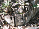 P1010012.JPG