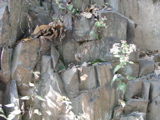 P1010013.JPG
