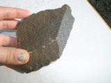 P1010015.JPG