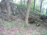 P1010017.JPG