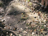 P1010020.JPG