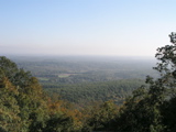 P1010030.JPG