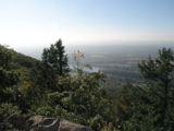 P1010033.JPG