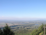 P1010034.JPG