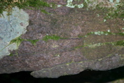 IMG_7140.JPG