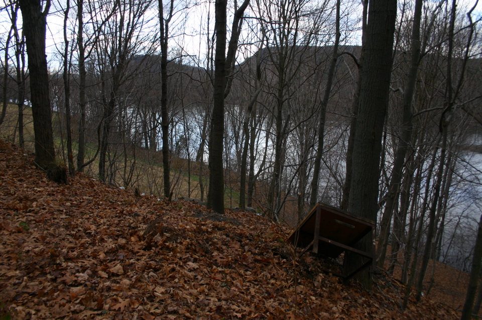 IMG_7972.JPG