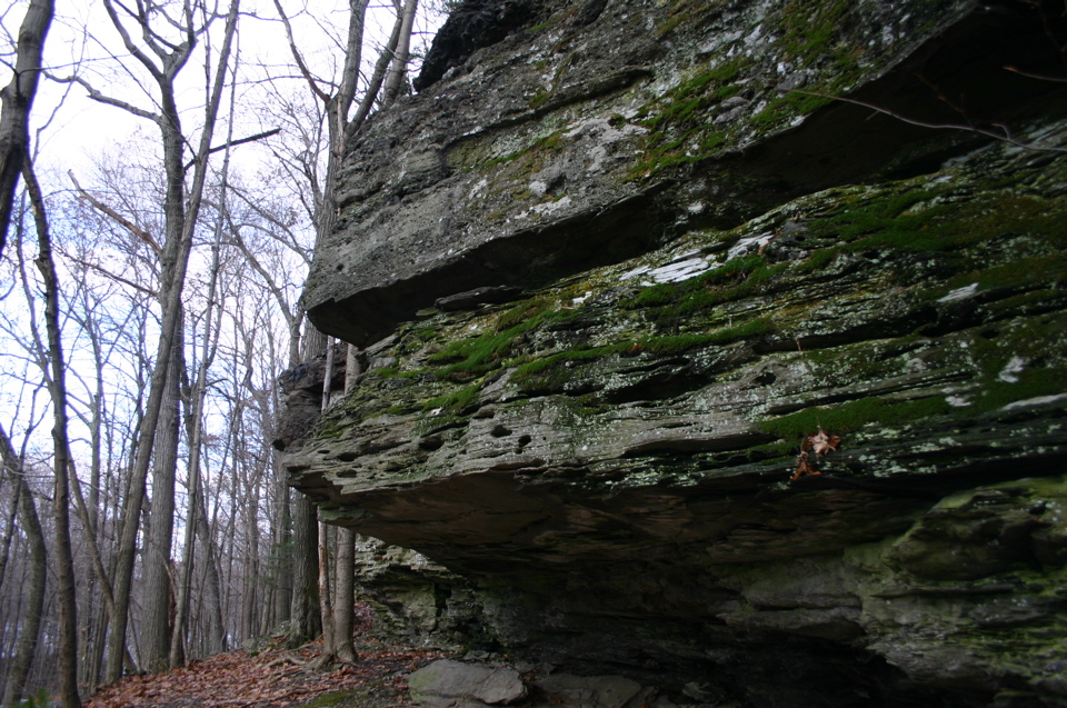 IMG_7987.JPG