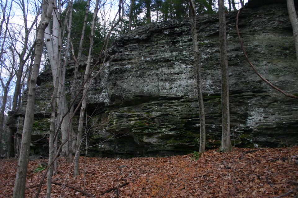IMG_7975.JPG