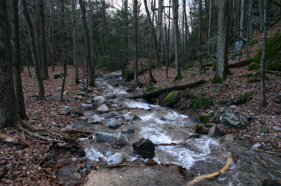 IMG_8009.JPG