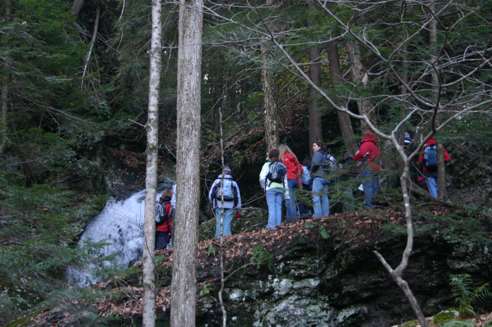 IMG_8010.JPG