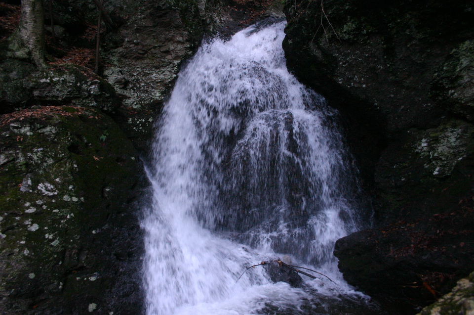 IMG_8017.JPG