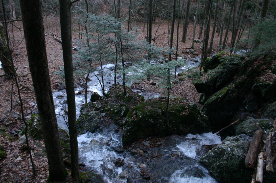 IMG_8021.JPG