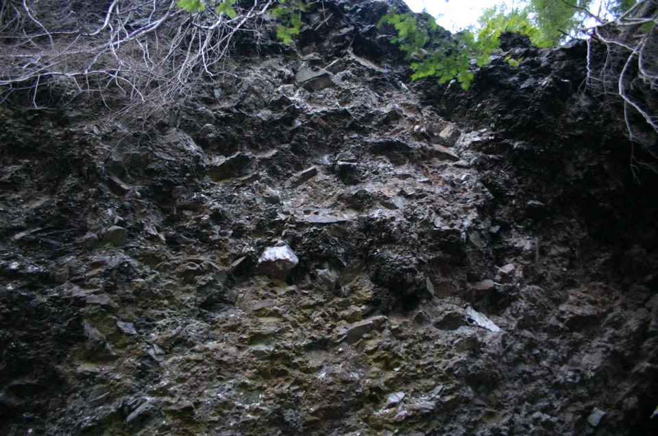 IMG_8028.JPG