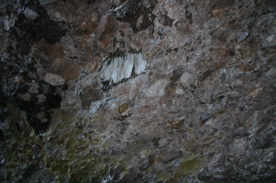 IMG_8029.JPG