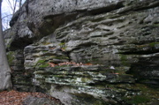 IMG_7976.JPG