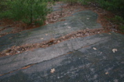 IMG_8035.JPG